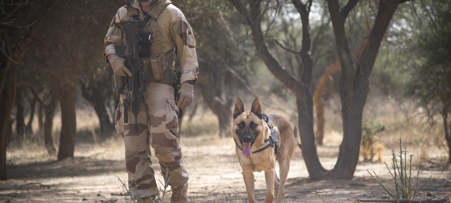 Maître chien en opération