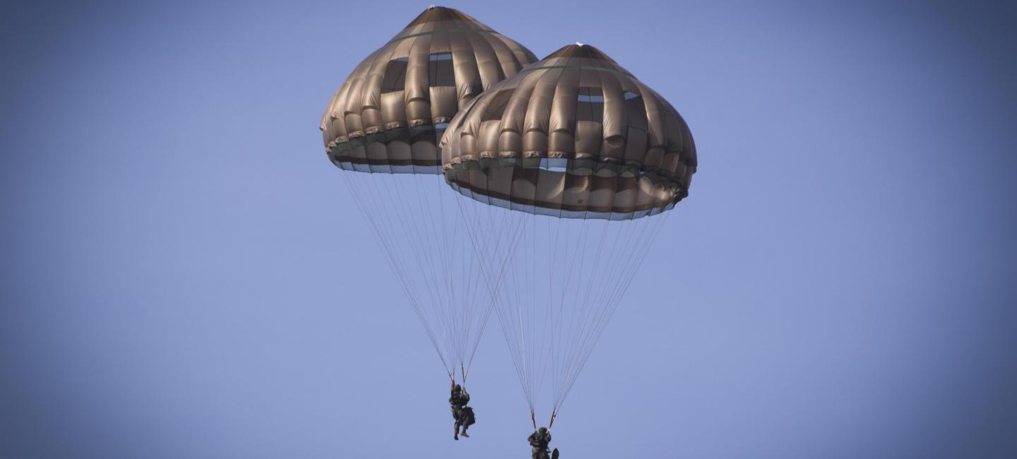 Armée de terre - 3RPIMA - 2