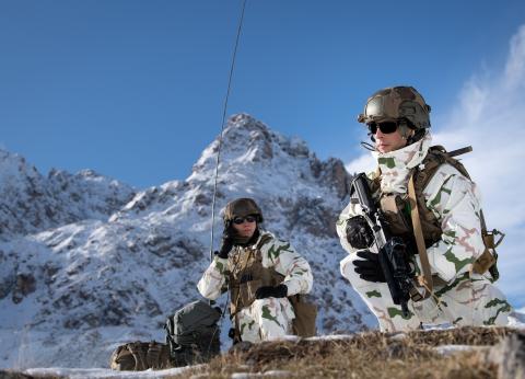 Armée de terre - 13BCA - 1