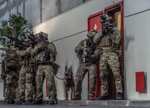 Armée de terre - 1RPIMA - 1